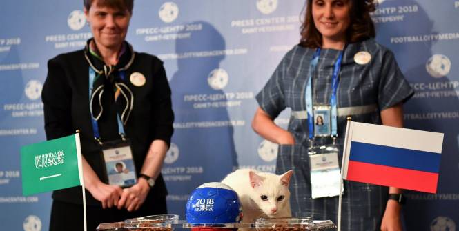 Mondial 2018 : Entre la Russie et l'Arabie Saoudite, qui remportera le match d'ouverture ?Achille le Chat a fait son choix Mondial 2018 : Entre la Russie et l'Arabie Saoudite, qui remportera le match d'ouverture ?Achille le Chat a fait son choix